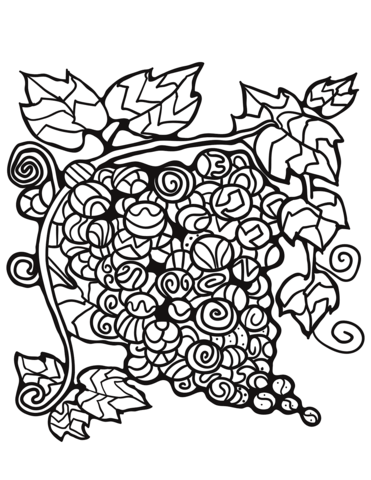 Zentangle Grape Coloring Page